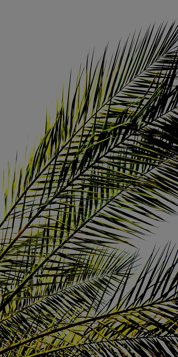 palm leaf prints