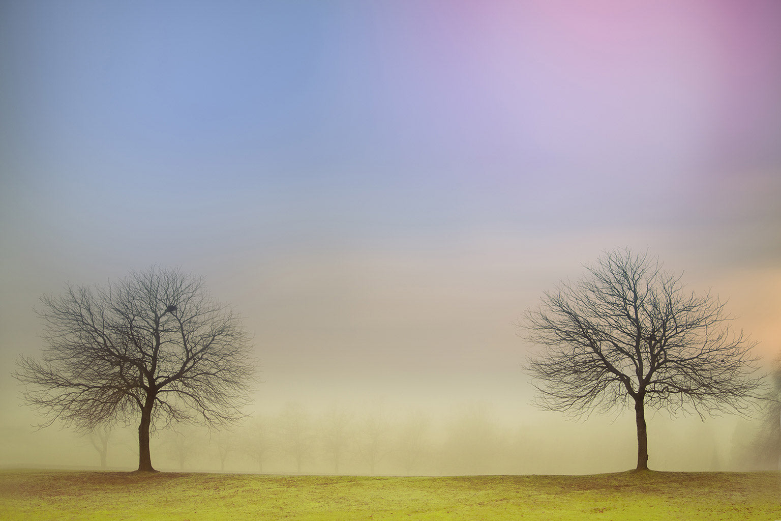 Discover 7 Abstract Landscape Photography Art Examples Angela Cameron discover-7-abstract-landscape-photography-art-examples-angela-cameron