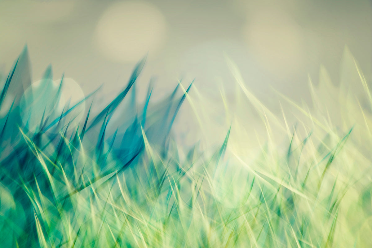 Buy Photography Online Best Art Buyers Guide Angela Cameron