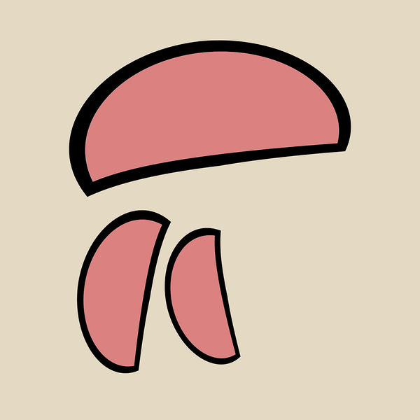 trio of shapes in pink artwork