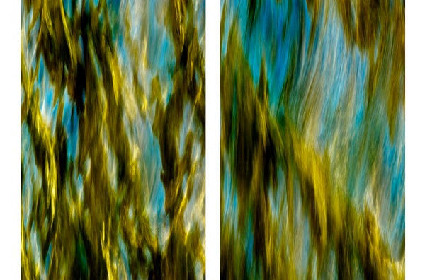 diptych artwork of the ocean