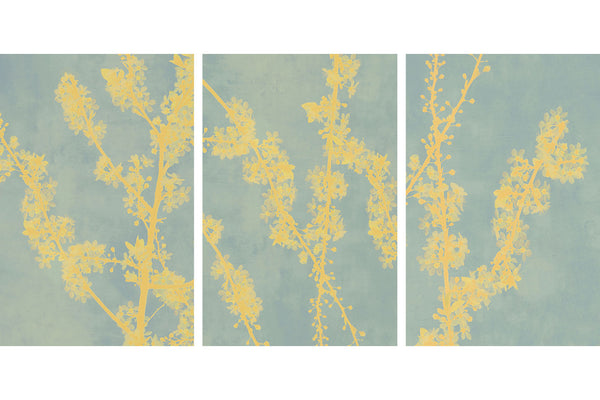 blossom art