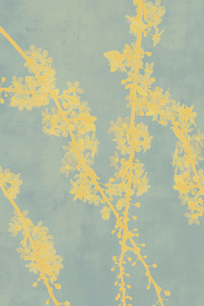 blossom artwork