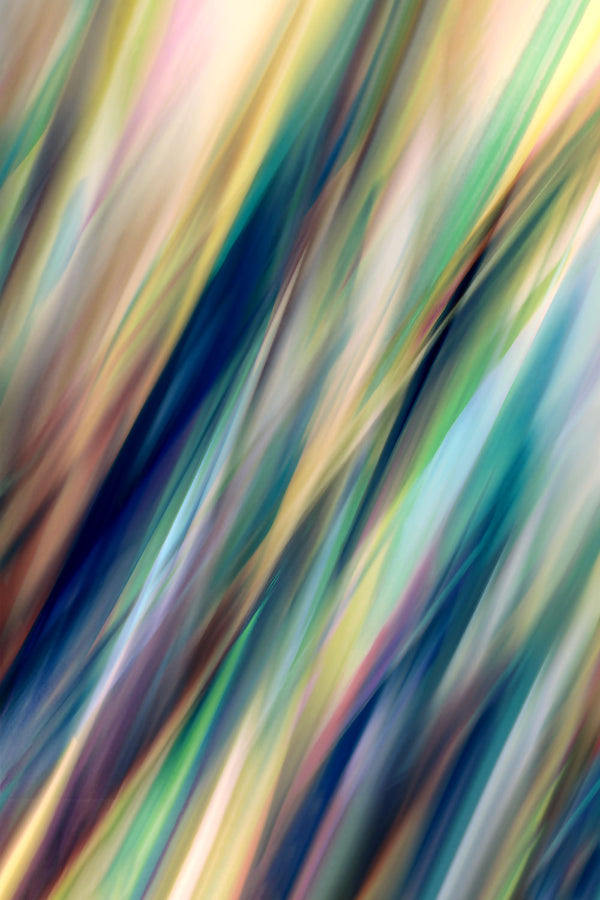 Abstract colorful botanical plant leaves