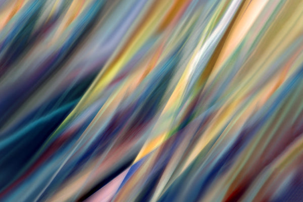 Abstract multicolored pattern of botanical leaves