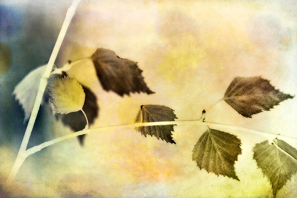 vintage branch and leaves art in yellow and gold