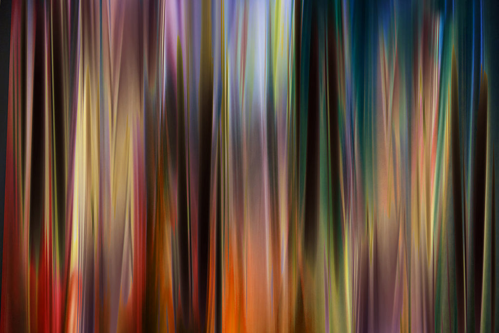 colourful grass modern art