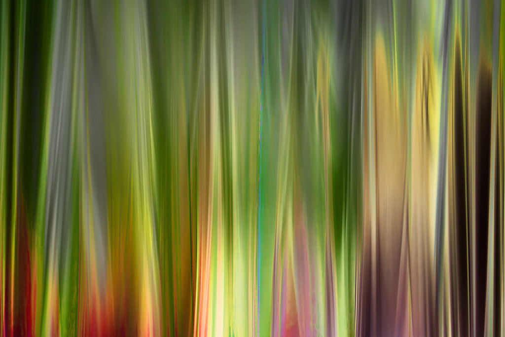 modern fine art grass artwork
