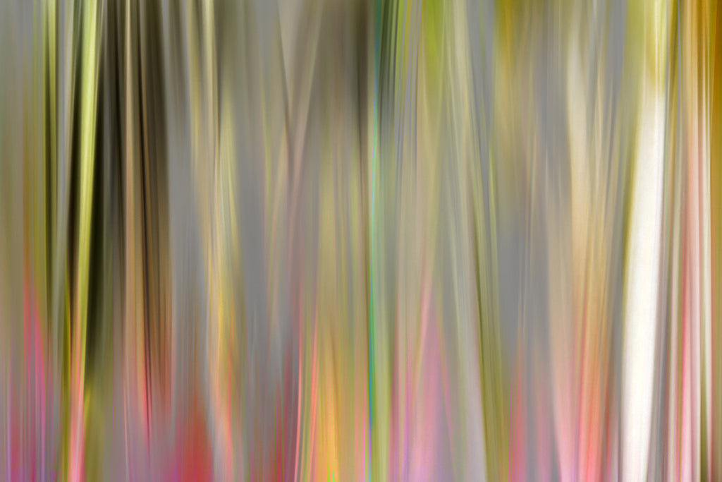 contemporary grass fine artwork