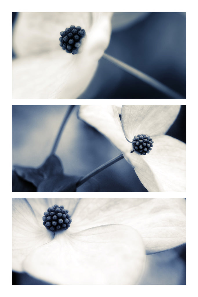 triptych floral art