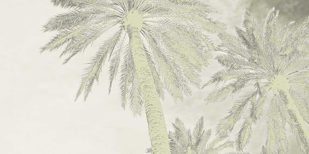 Palm Tree Art