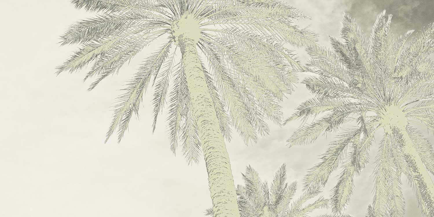 Palm Tree Art