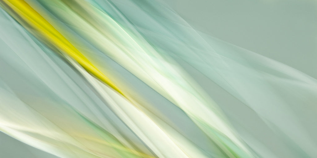 abstract nature artwork