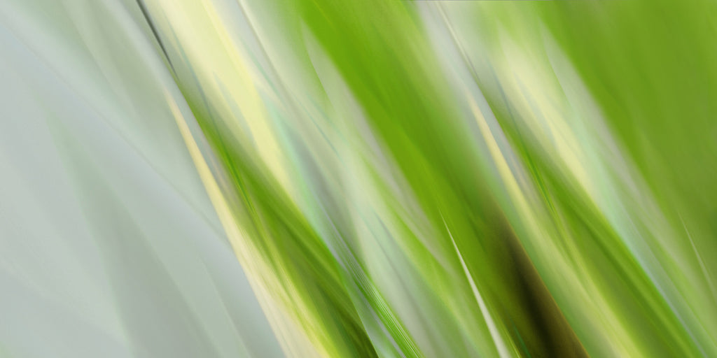 fine art grass