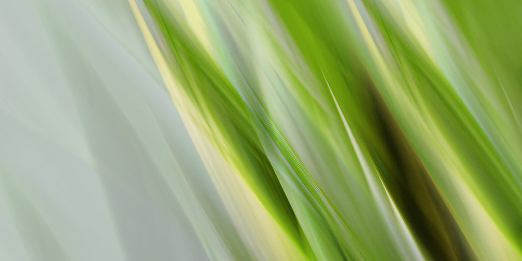 grass art print
