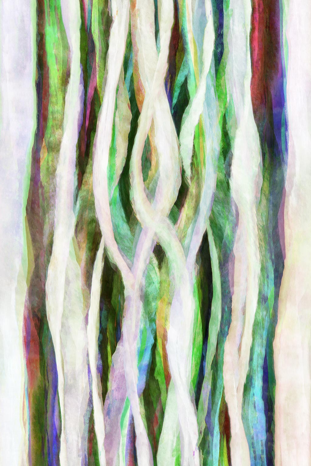 modern artistic artwork of curvy lines