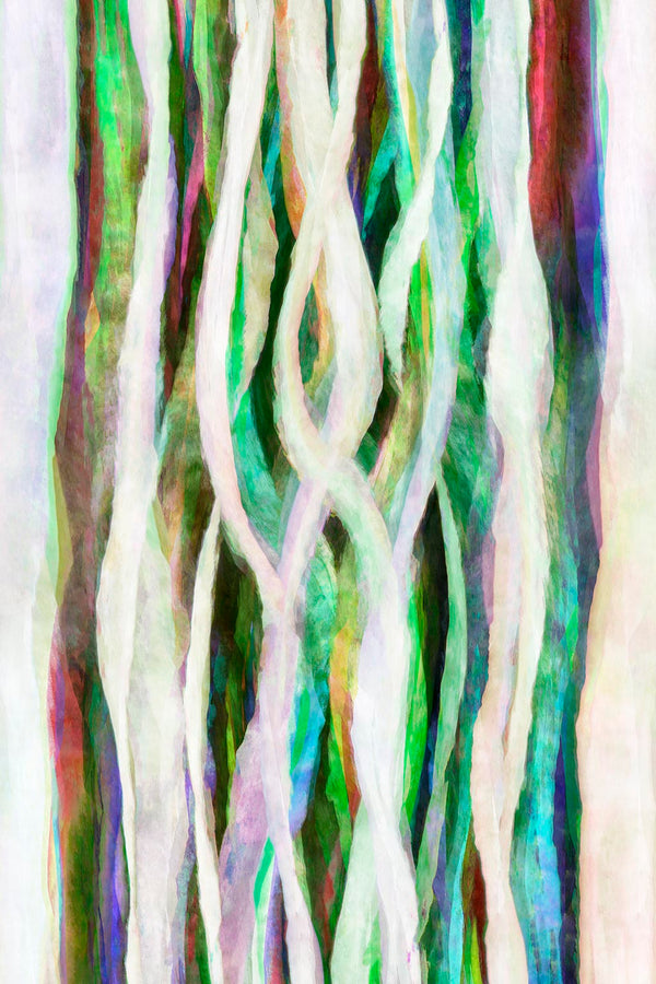 modern artistic artwork of curvy lines