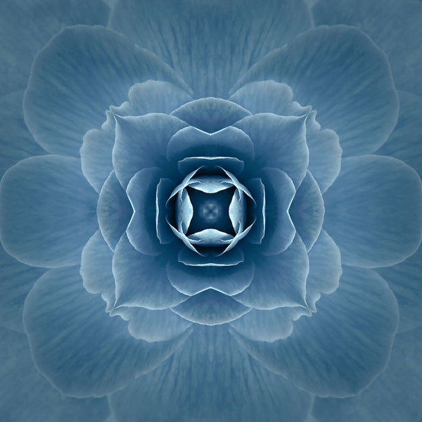 floral abstract art