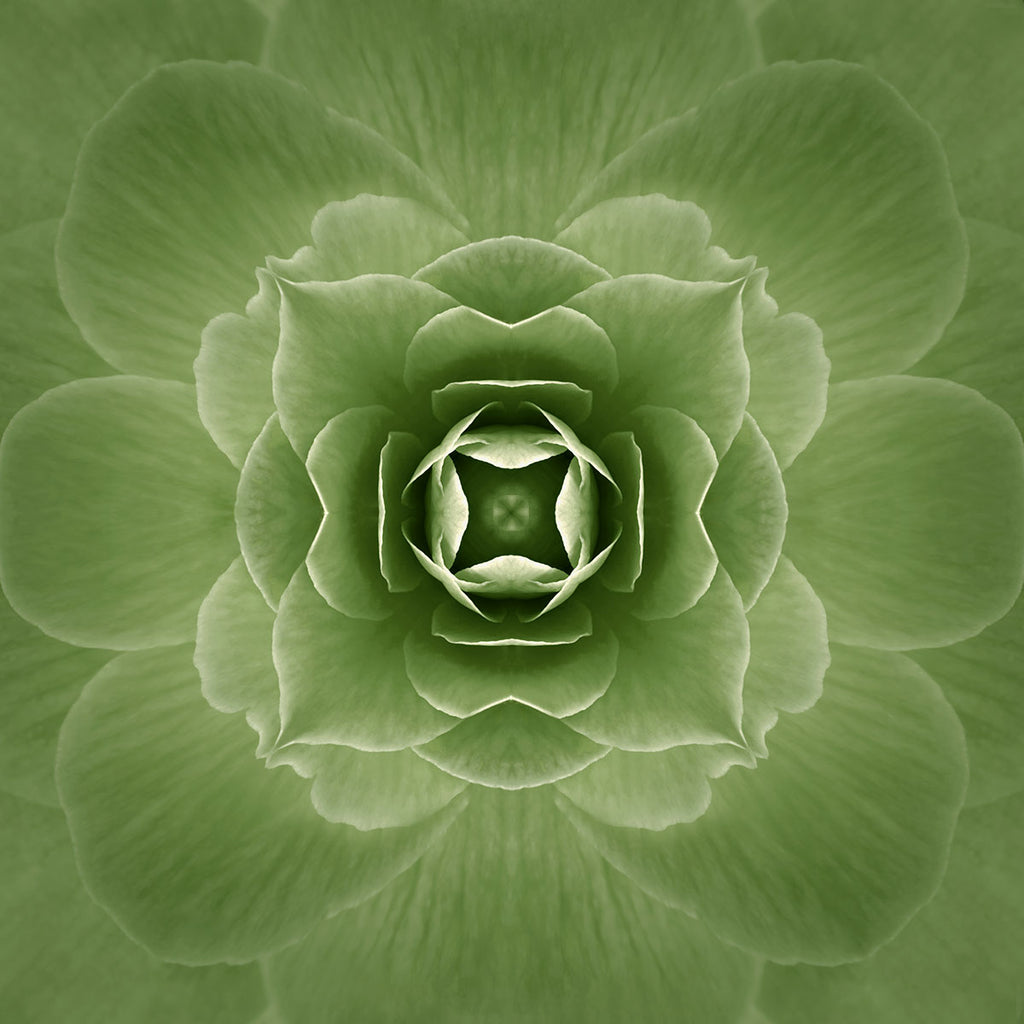 abstract garden artwork