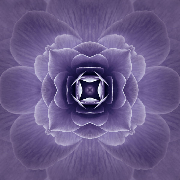 graphic flower artwork