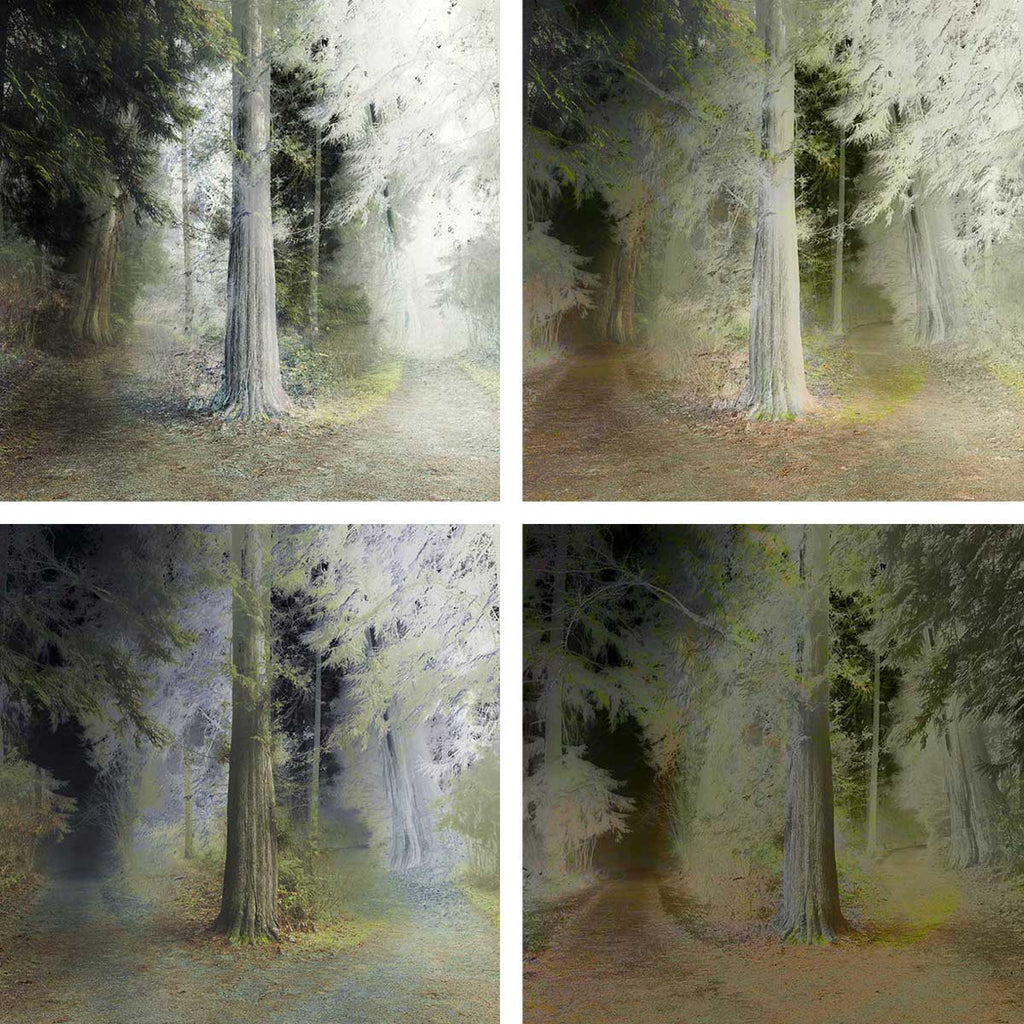 forest art