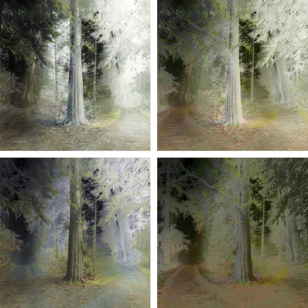 forest art
