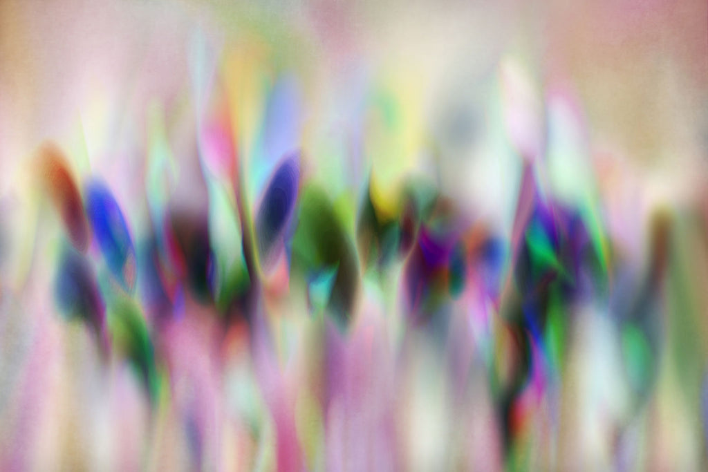 High End Artwork Garden Artwork Angela Cameron