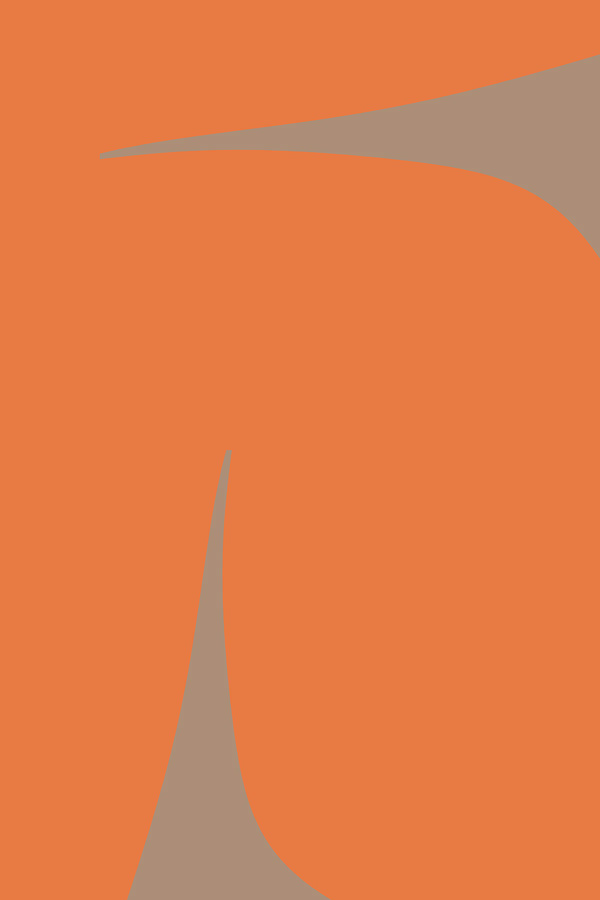 Contemporary Art of curved shapes on an orange background