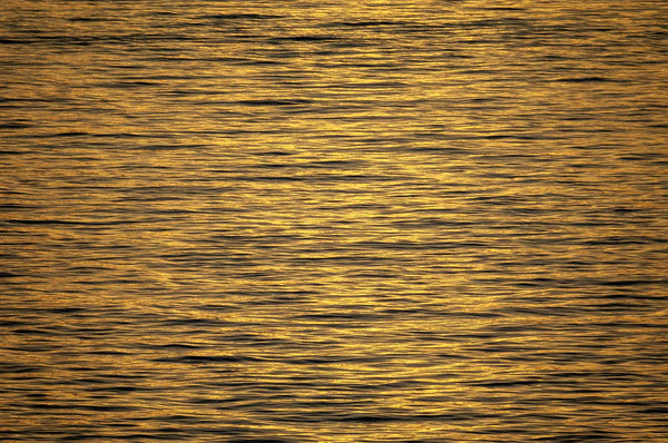 Golden Ocean Minimalist Art