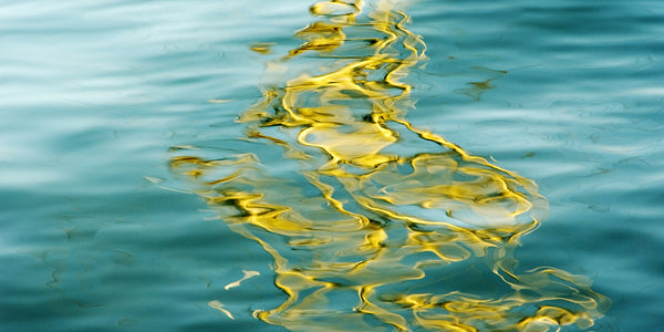 gold reflections on the water