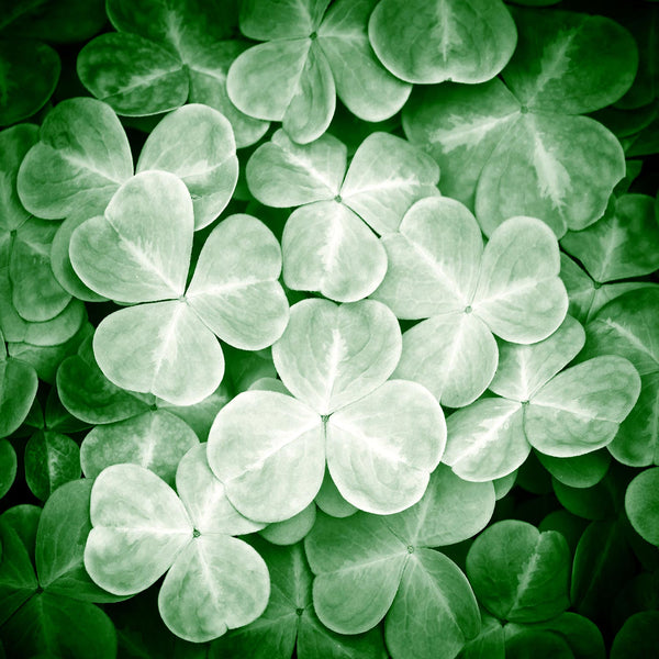 4 leaf clover art