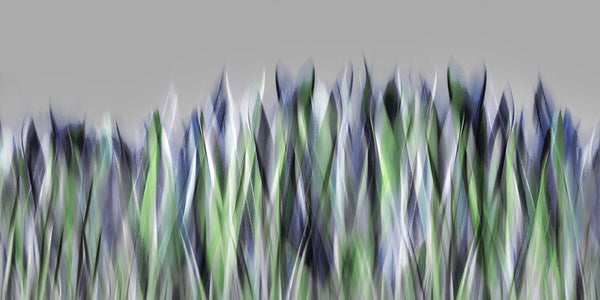 graphic grass art
