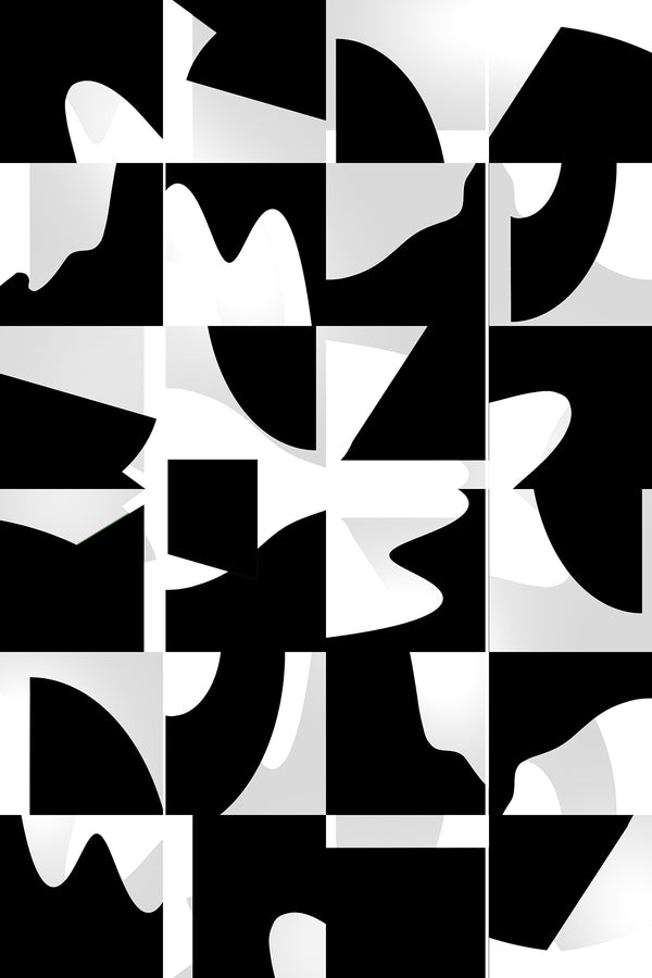 Black & White Contemporary Art 