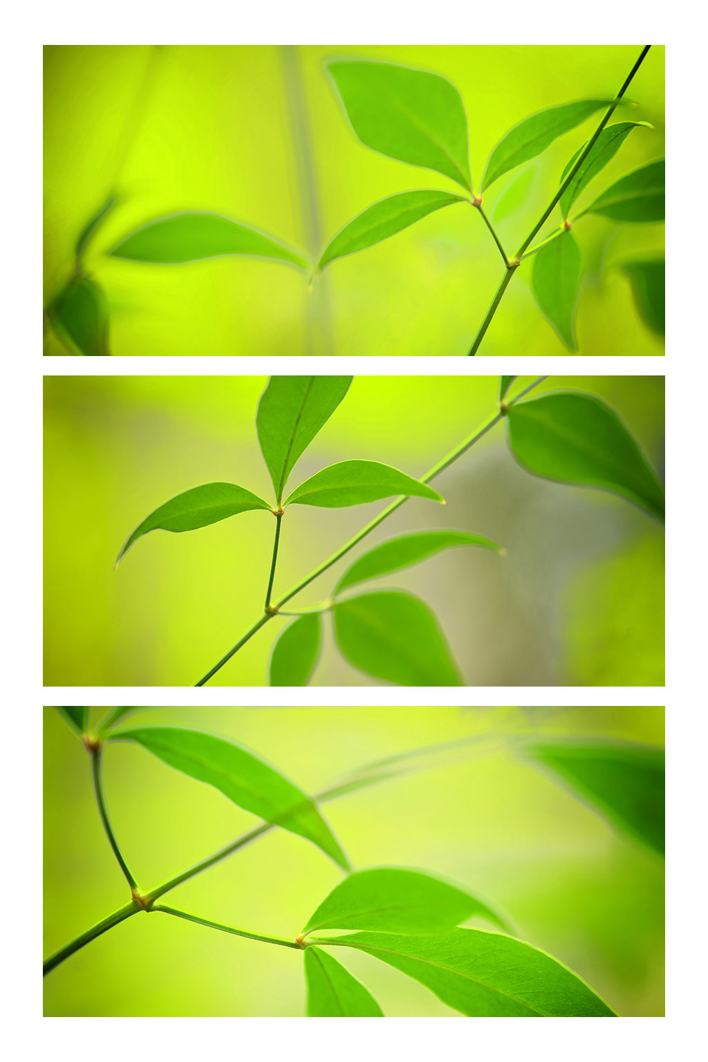 triptych artwork