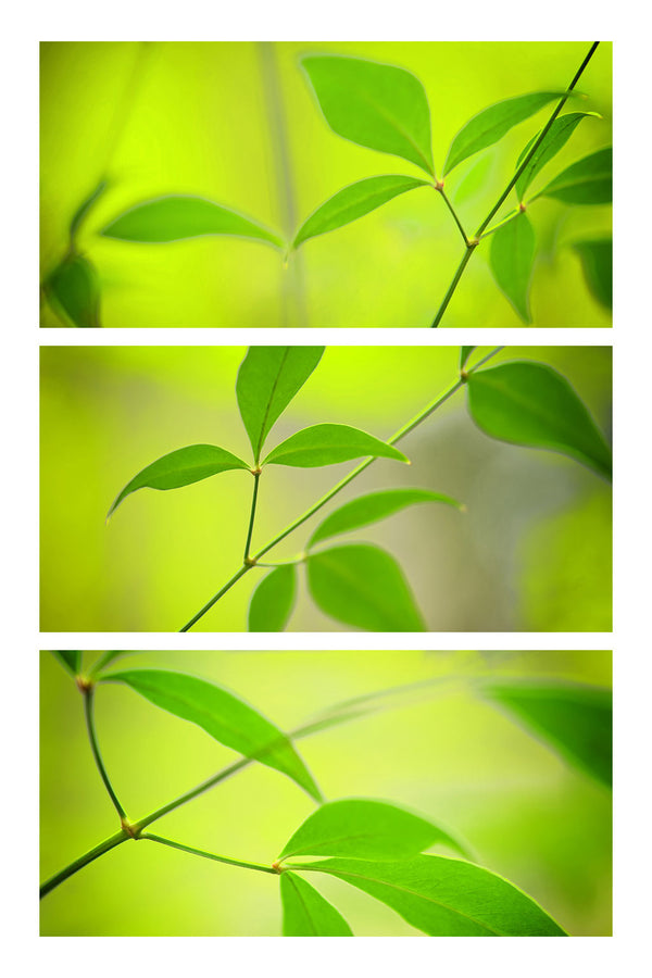 triptych artwork