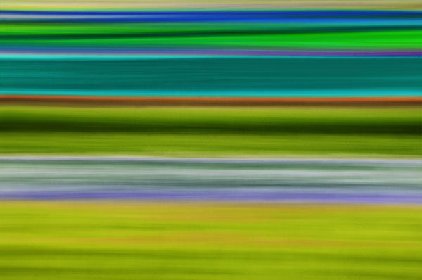 striped art