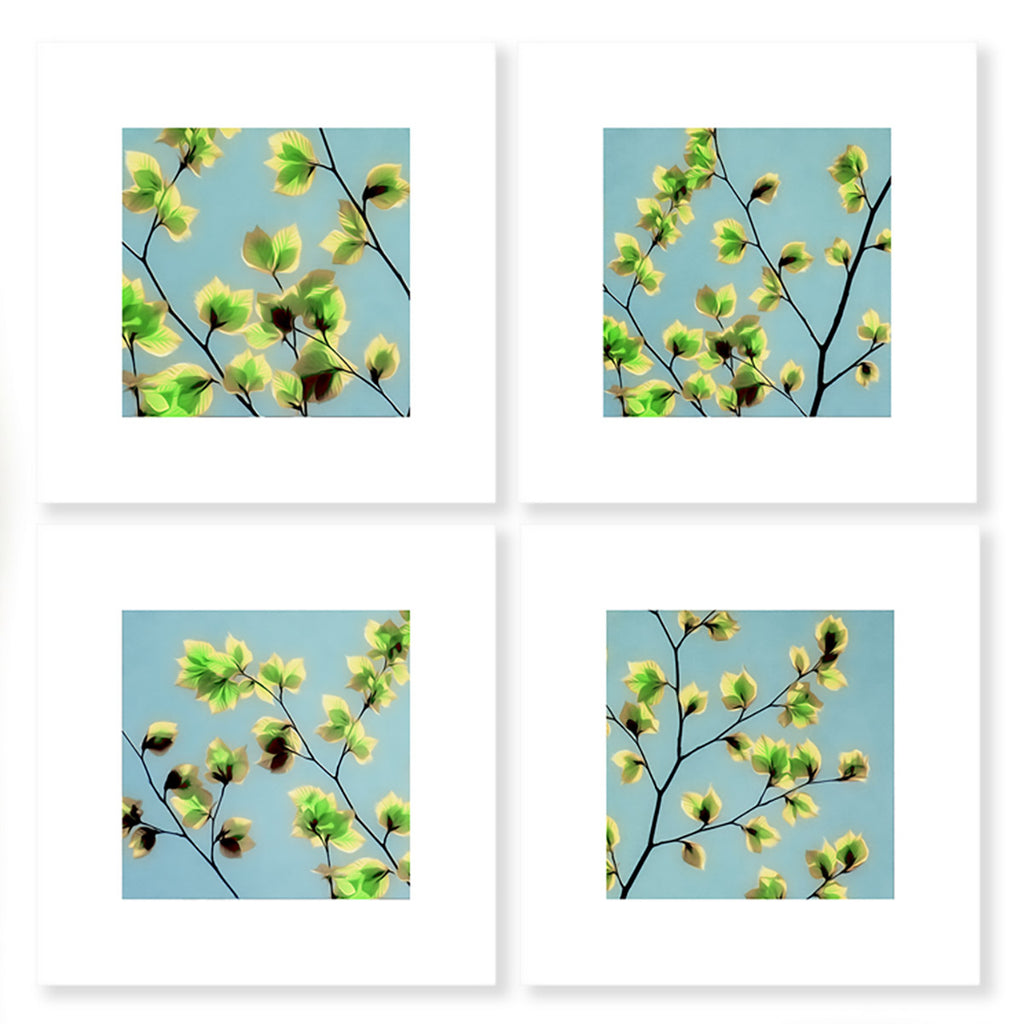 leaves of spring art