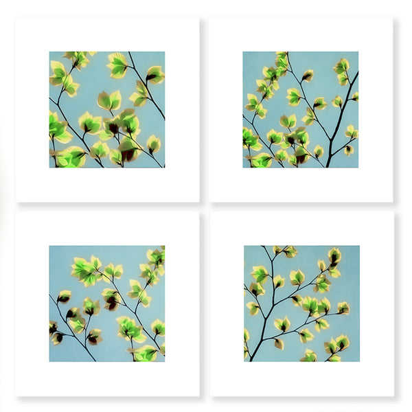 leaves of spring art