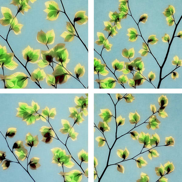 leaves of spring art