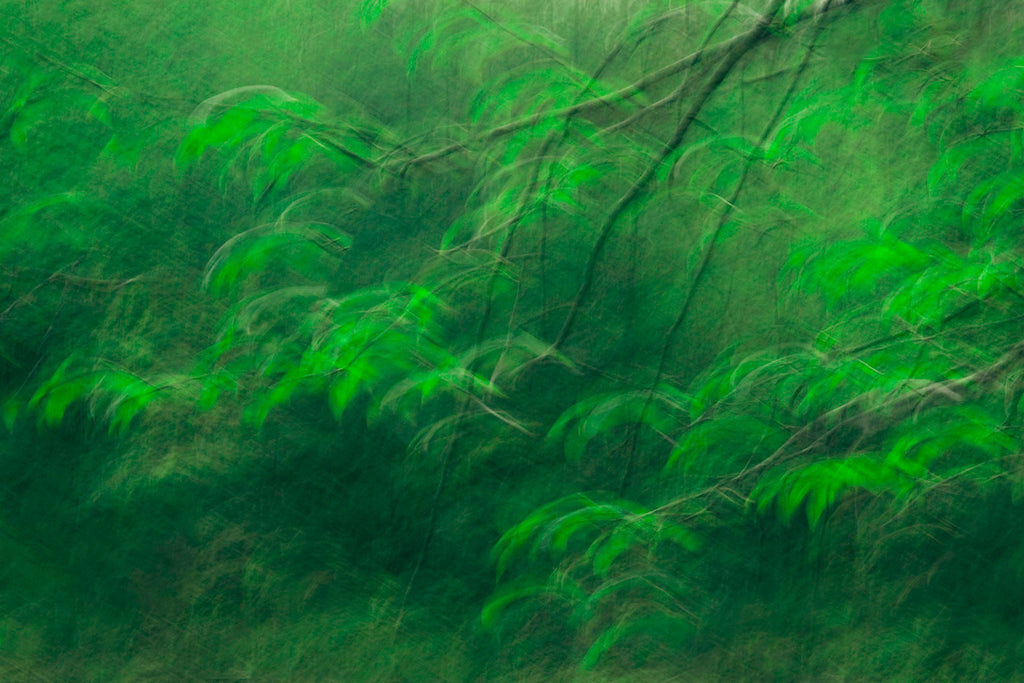 nature artwork