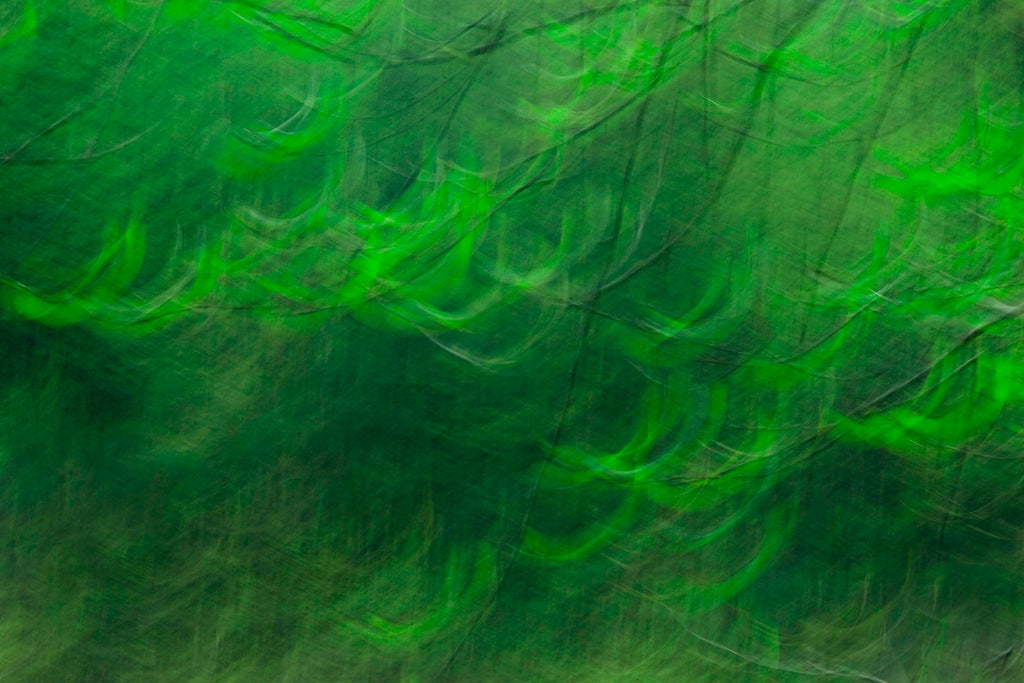 nature art print