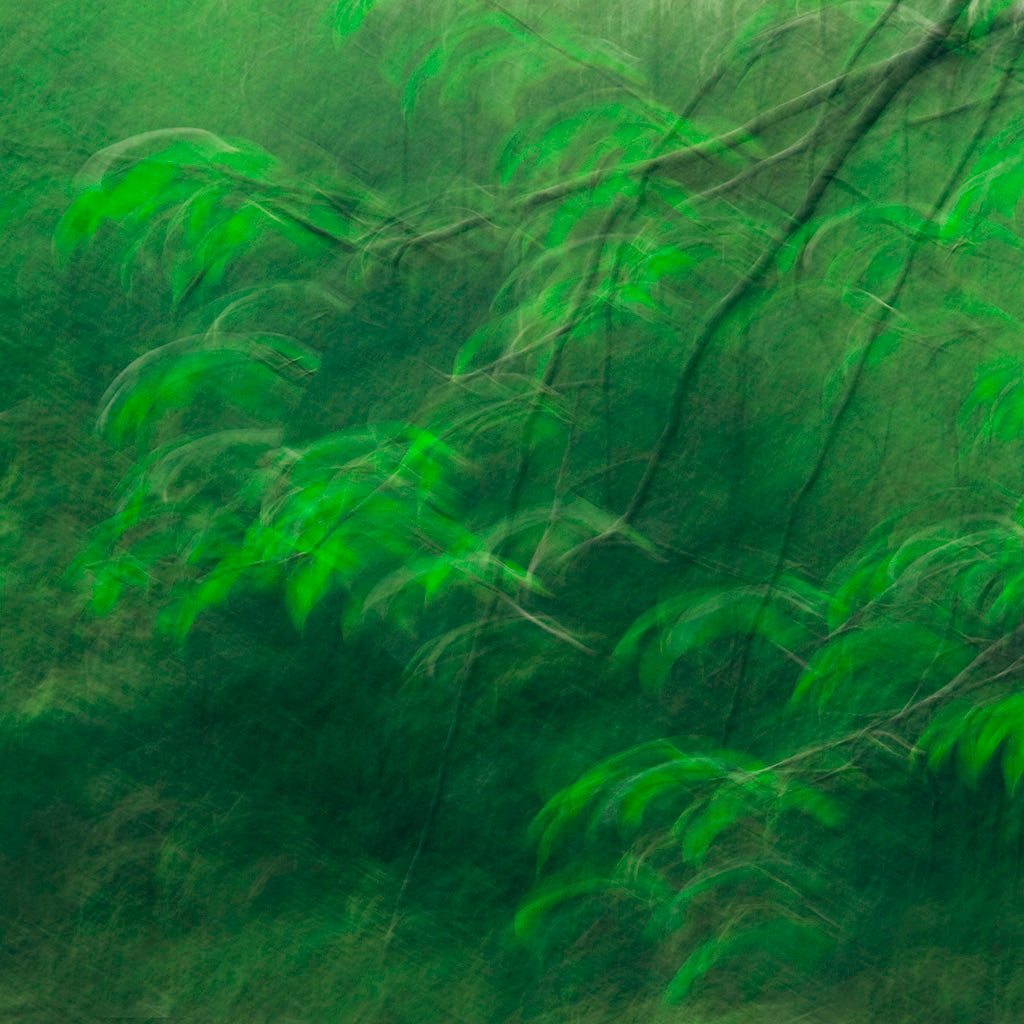 nature fine art
