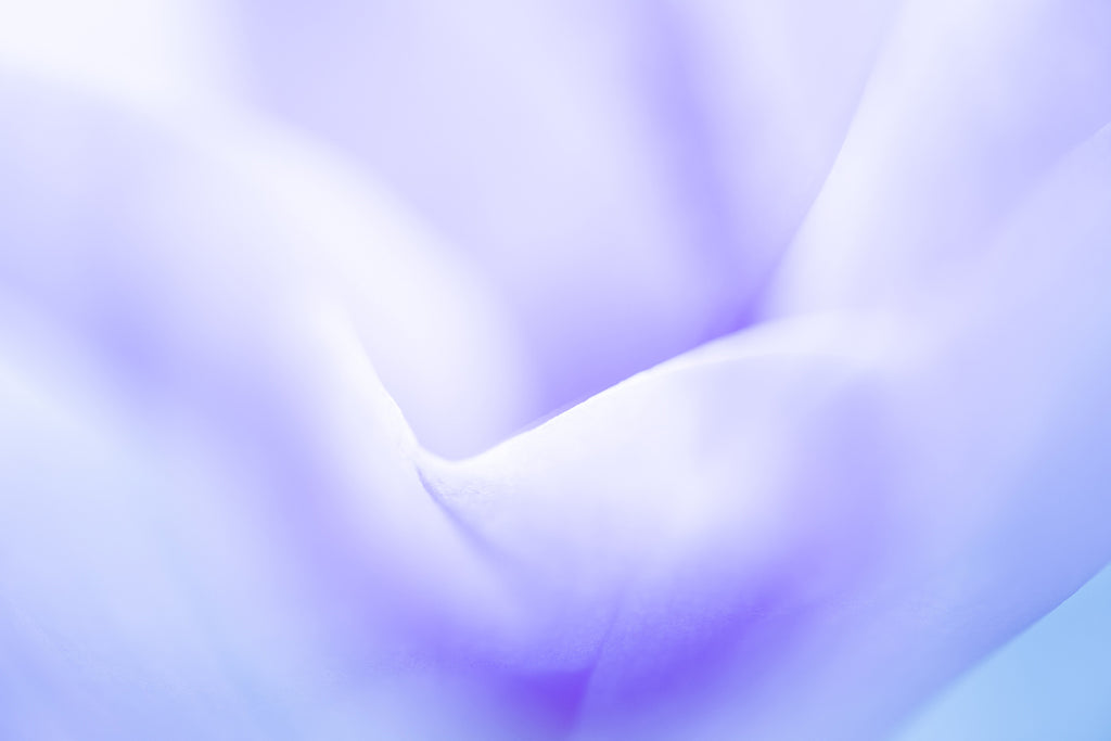 Mauve Floral Artwork