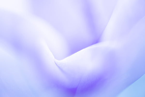 Mauve Floral Artwork