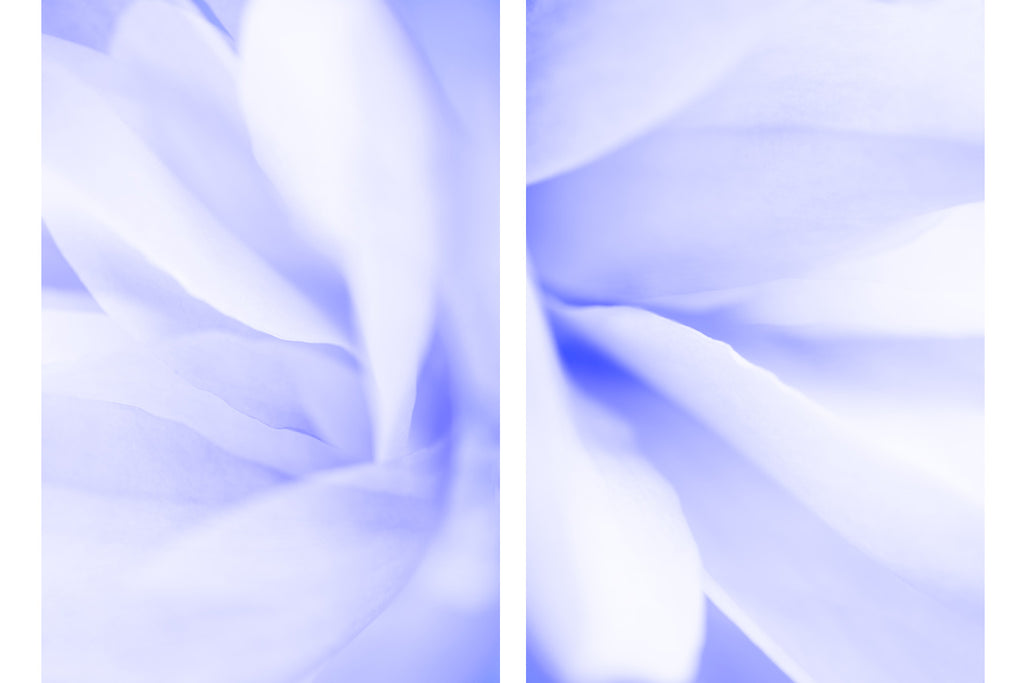 Mauve Floral Art
