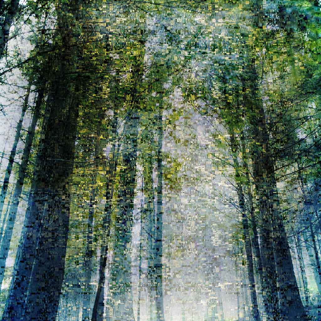 abstract trees art