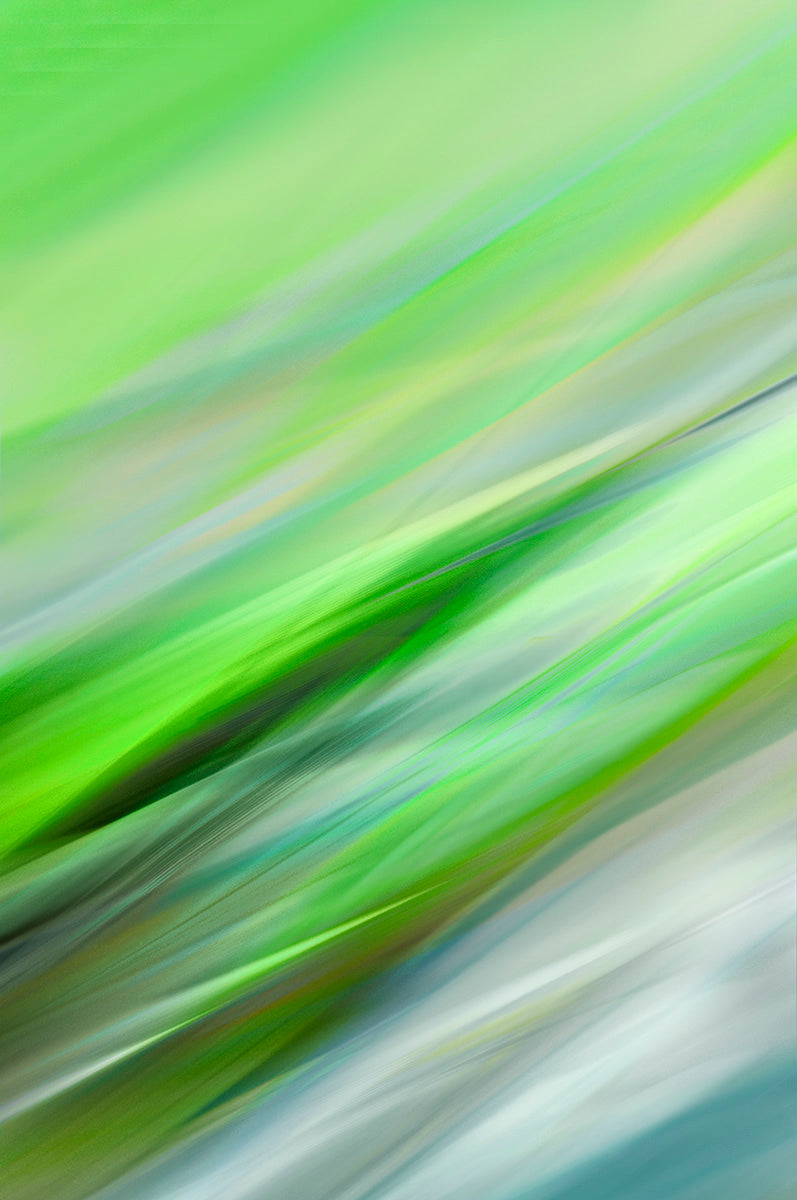 Abstract botanical photography