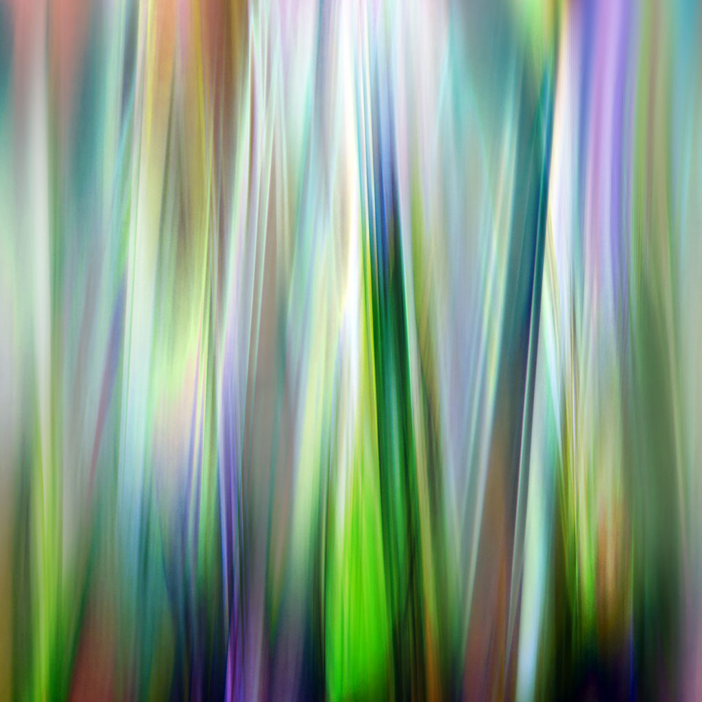 Abstract multicolored organic grass artwork