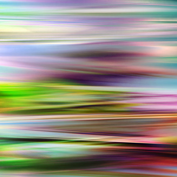 organic grass artwork in horizontal style