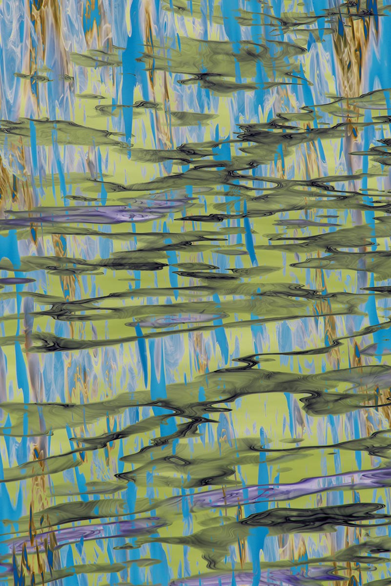 organic art abstract